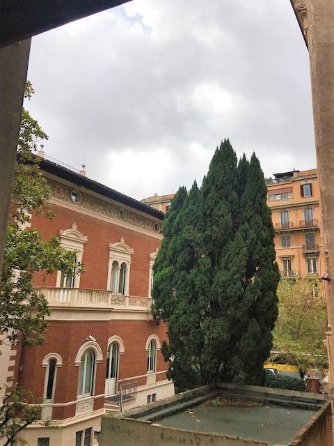 Vetrina